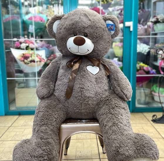 Teddi Teddy ayiqchalar (30sm 3metrgacha) — 2