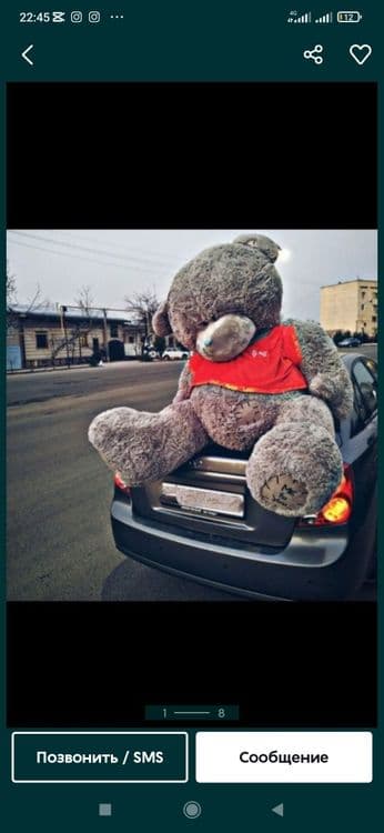 Teddy,teddylar ayiqchalar — 1