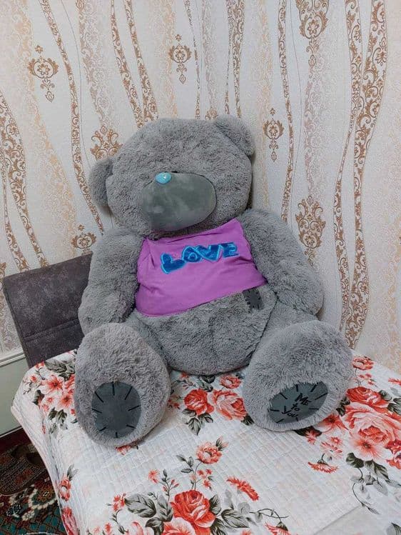 Teddy ayiqchasi sotiladi — 1