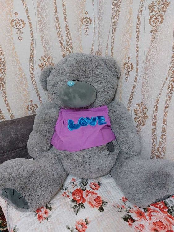 Teddy ayiqchasi sotiladi — 2