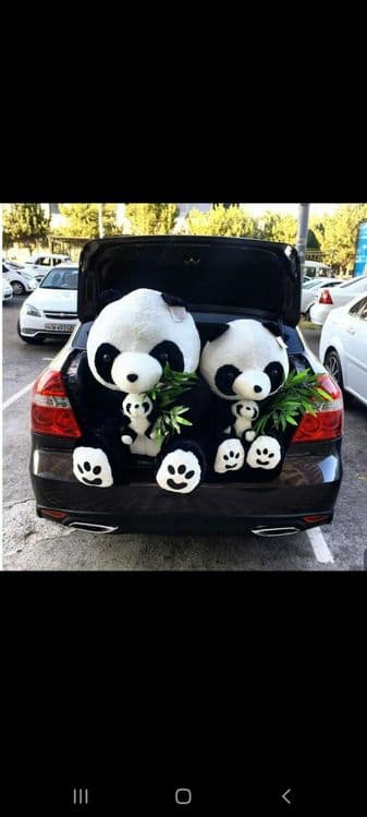 Panda supper arzon narxda — 4