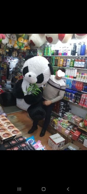Panda supper arzon narxda — 6