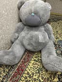 Teddy ayig 1,5 metrligi 600 ming , 55 smligi 130 ming yengi ikkalasyam