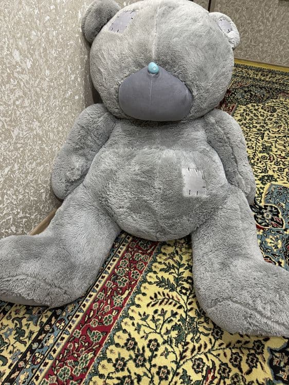 Teddy ayig 1,5 metrligi 600 ming , 55 smligi 130 ming yengi ikkalasyam — 1