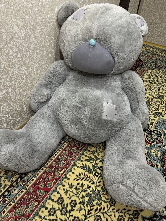 Teddy ayig 1,5 metrligi 600 ming , 55 smligi 130 ming yengi ikkalasyam — 2