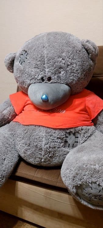 Teddy ayiq kattasi sotiladi yangi olingan  narxi kelishildi arzonroga — 1
