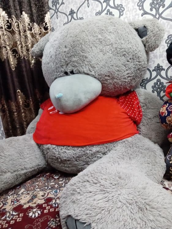 Teddi ayigi, 2 metr, uzunligi — 1