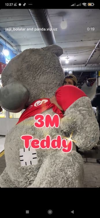 Teddy, Teddi, Тедди (3м) — 1