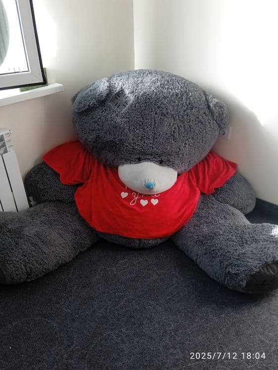 Teddy ayiqchasi. — 1