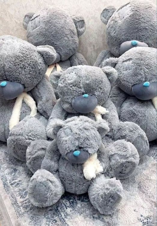Teddy bear Mishka Teddi 120 metr — 2