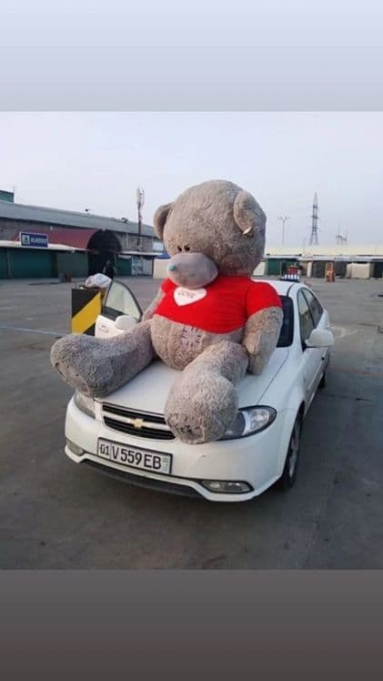 Teddy bear Mishka Teddi 120 metr — 3