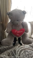 Teddy Ayiq Mishka kotta yumshoq o'yinchoq
