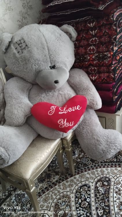 Teddy Ayiq Mishka kotta yumshoq o'yinchoq — 3