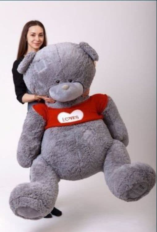 Teddy ayiqchalar Teddi teddi orginal xitoy — 4