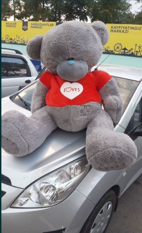 Teddy ayiqchalar Teddi teddi orginal xitoy — 6