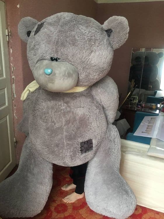 TEDDY Мышка Продается — 4