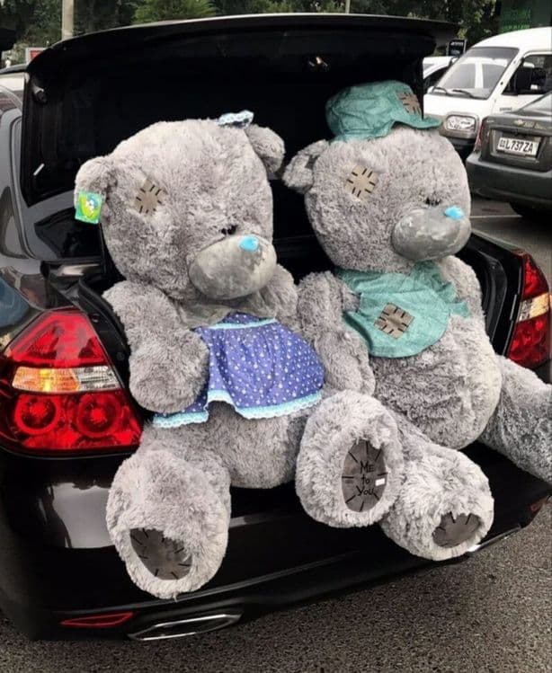 "Teddy"-Teddy TEDDY Игрушка — 6