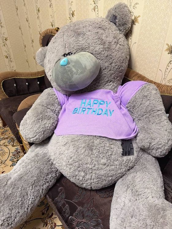 TEDDY айик сотилад йенги селафан — 2