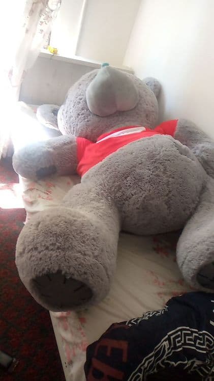 Teddy 160sm yangi — 2
