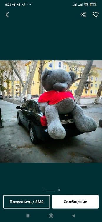 Teddy Teddi Ayiq original — 1