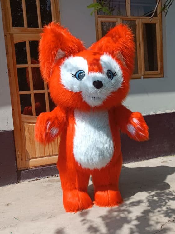 Kotta ayiqlar Sotilad — 6