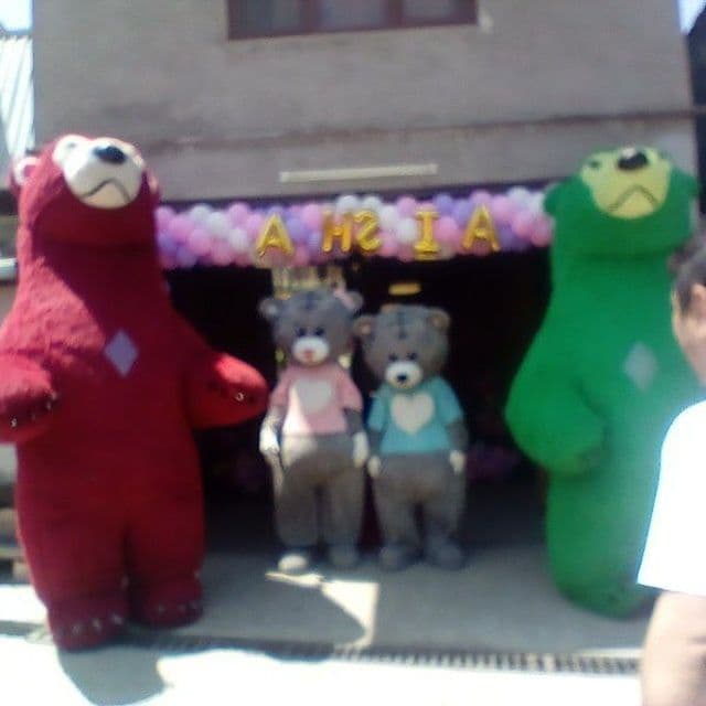 2 ta Kotta. 2 ta teddy Ayiqlar sotiladi . — 2