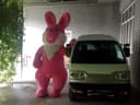 Teddy 2 ta quyonlar
