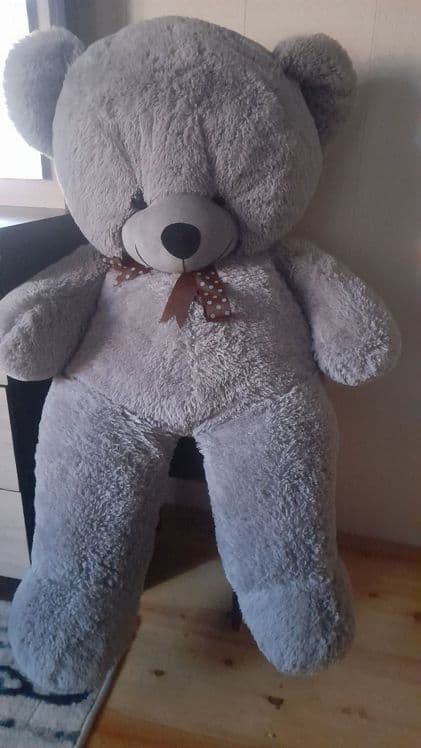 Teddy ayiqchasi sotiladi — 3