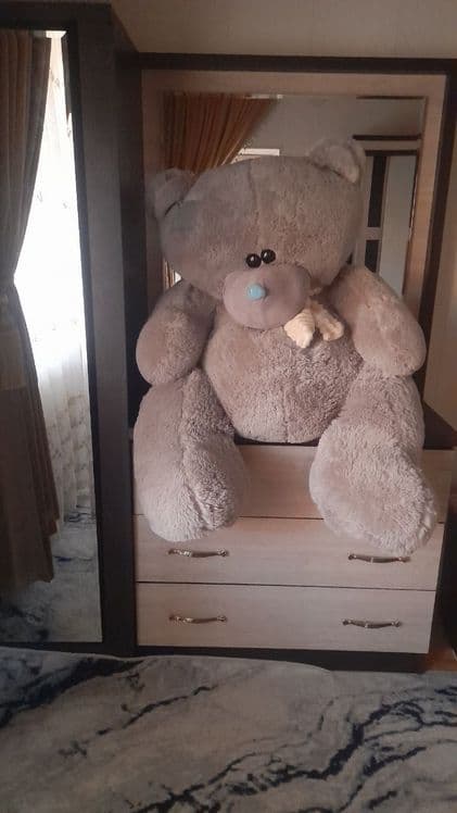 Teddy ayiqchasi sotiladi — 4
