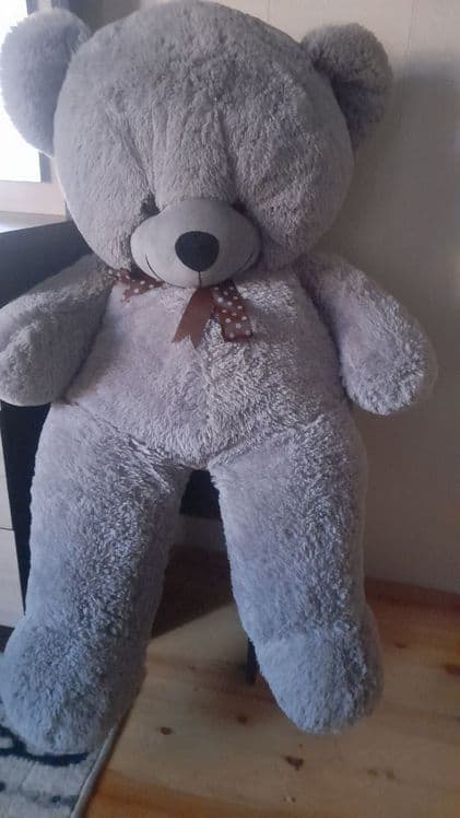 Teddy Ayiqlari sotiladi — 2