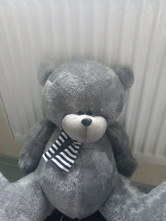 Teddy ayiqchasi sotiladi — 1