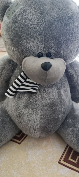 Teddy ayiq sotiladi xali yangi kelganu turubdi prosta majburdan sotyap — 2