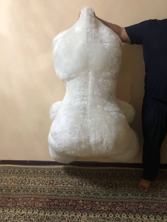 Yumwoq ayiqcha sotiladi — 2
