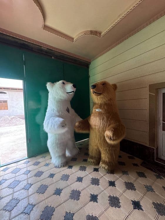 Animatr Teddi va havoli ayiqlar — 2