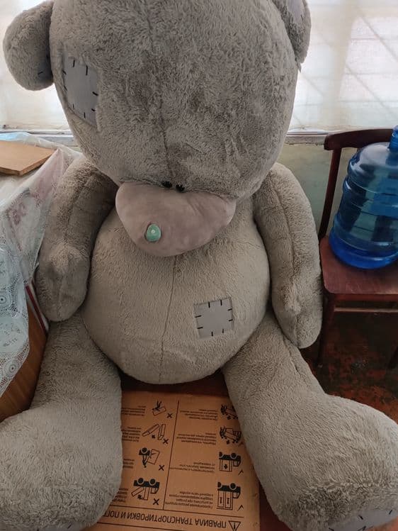Teddiy 1qul faqat uyda turgan — 1