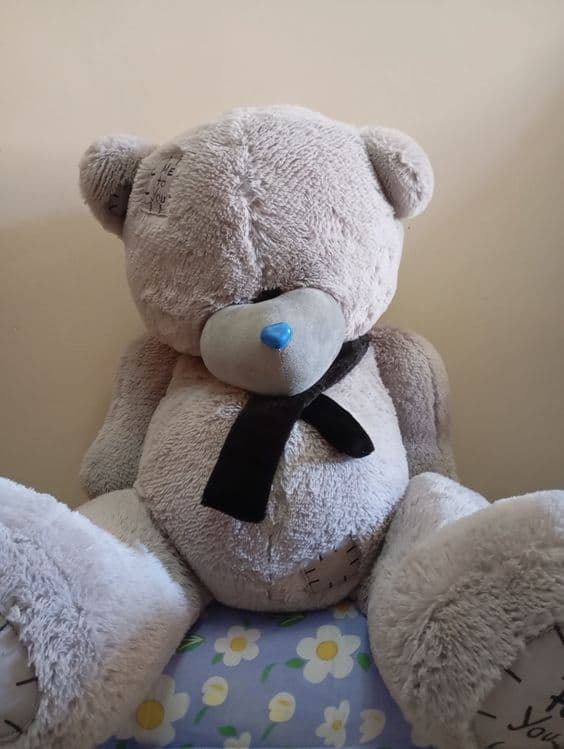 Yumshoq teddy ayiq yaxshi holatda sotiladi.Sovgʻa uchun ajoyib — 1