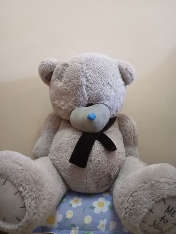Yumshoq teddy ayiq yaxshi holatda sotiladi.Sovgʻa uchun ajoyib — 2