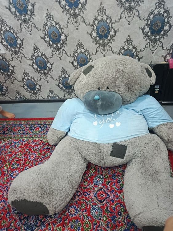 Teddy ayiq igrushka — 2