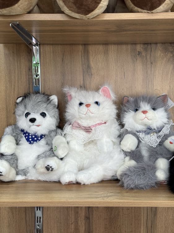 Котики для автомобиля — 4