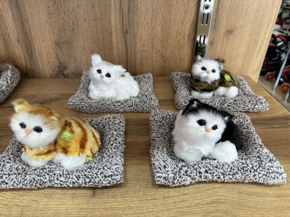 Котики для автомобиля — 5