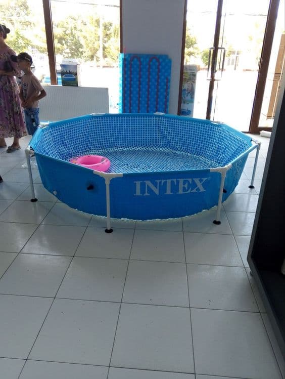 Intex Basseynlar olamiga marhamat Samarqand bo'ylab dastavka mavjud — 2
