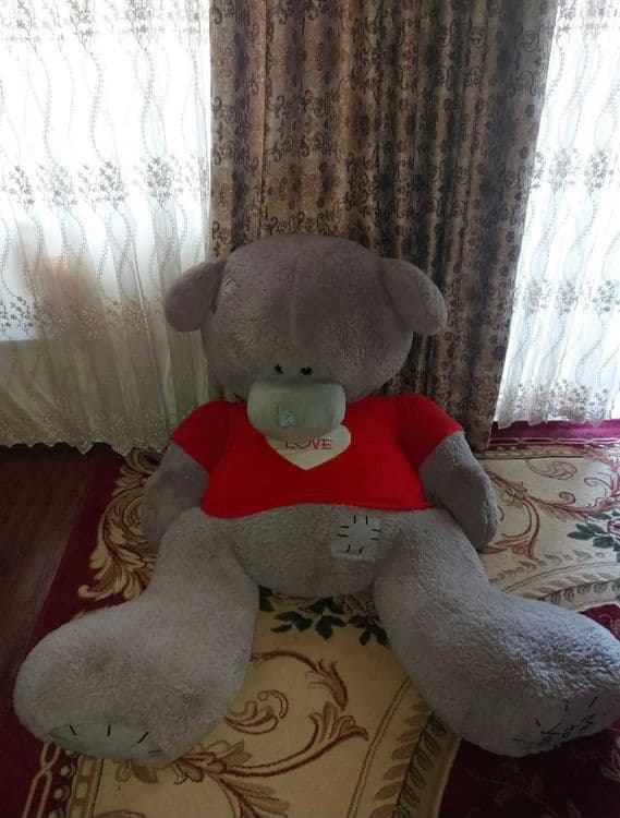 Продаётся медведь Teddy — 4