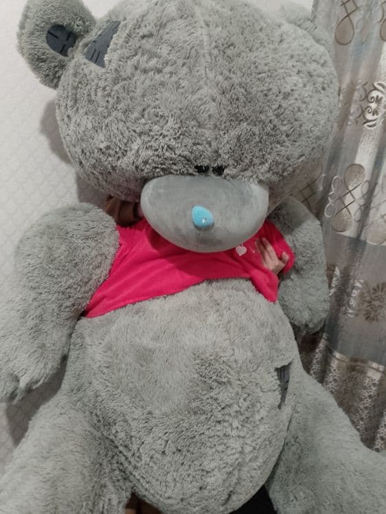 Teddy ayiqcha 2 metrlik — 2