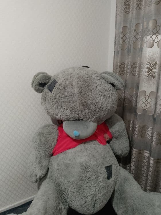 Teddy ayiqcha 2 metrlik — 3