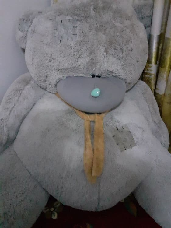 Teddy Мax ayiq rangi:kulrang — 2