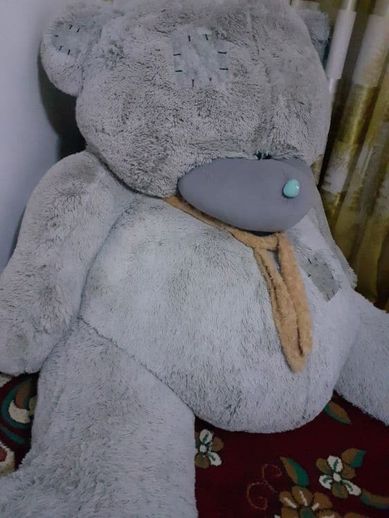 Teddy Мax ayiq rangi:kulrang — 3