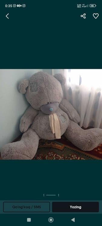 Teddy. Yangi buyi 1.80 — 4