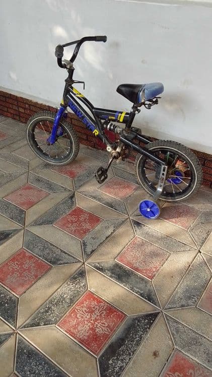 Bolalar velosapedi — 3