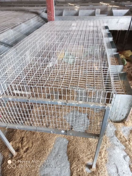 Quyon qafas 4-5xonali — 3