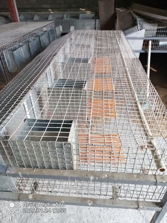 Quyon qafas 4-5xonali — 5